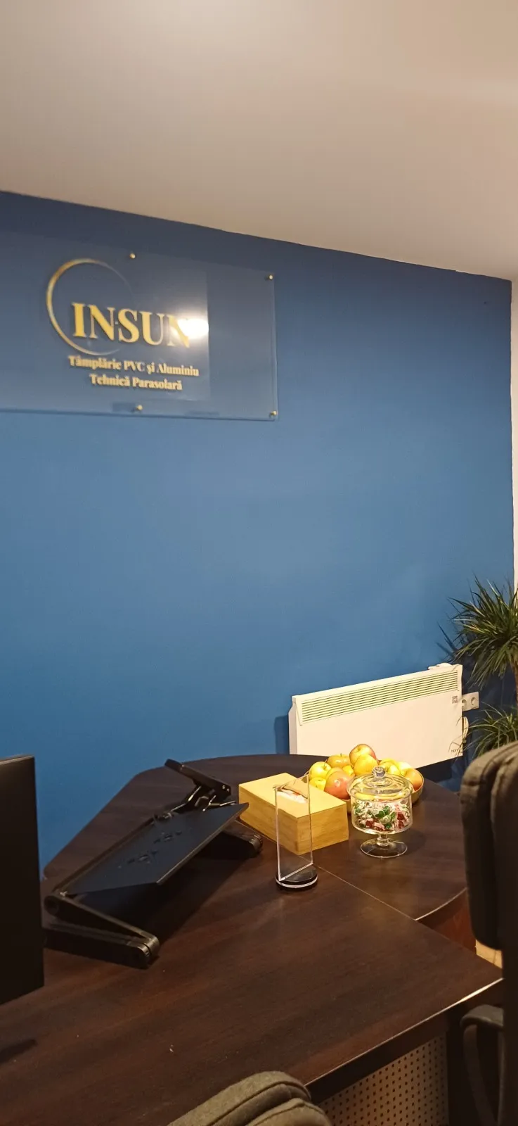 Biroul INSUN – perete albastru cu sigla INSUN